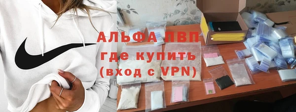 ECSTASY Белокуриха