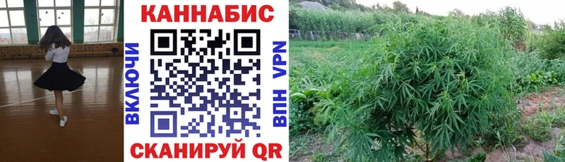 нарко площадка Telegram  купить наркотик  Армавир  Каннабис сатива 